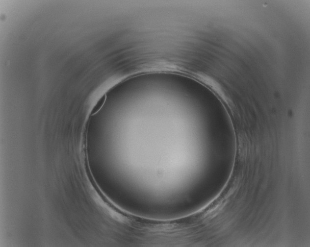 X0000073931387200608181103