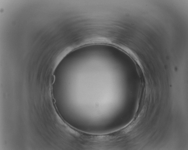 X0000073931390200608181103