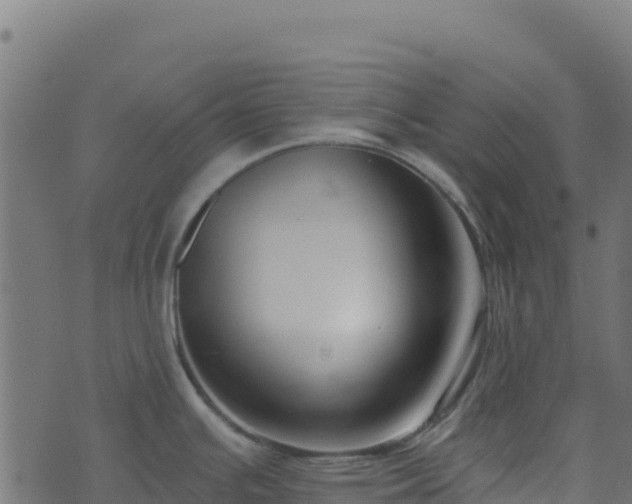 X0000073931391200608181103