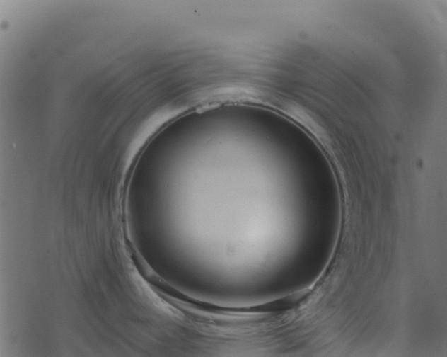 X0000073931392200608181103