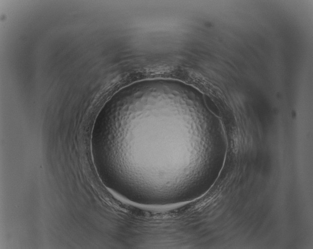 X0000073931393200608181102