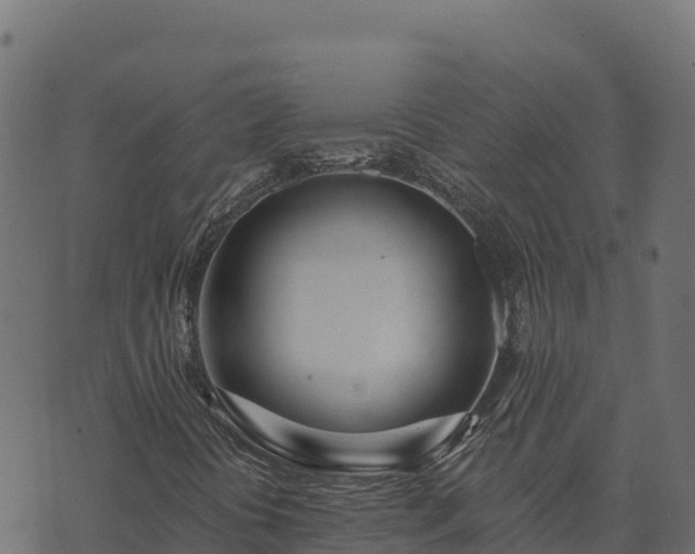 X0000073931394200608181102