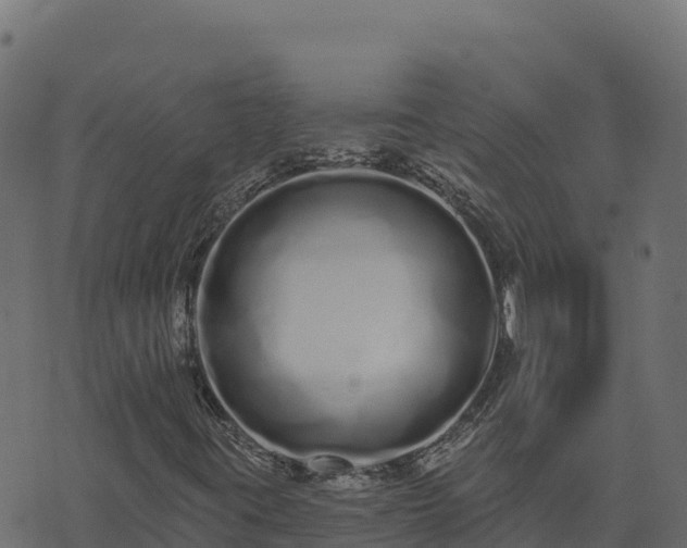 X0000073931395200608181102