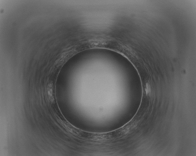 X0000073931396200608181102