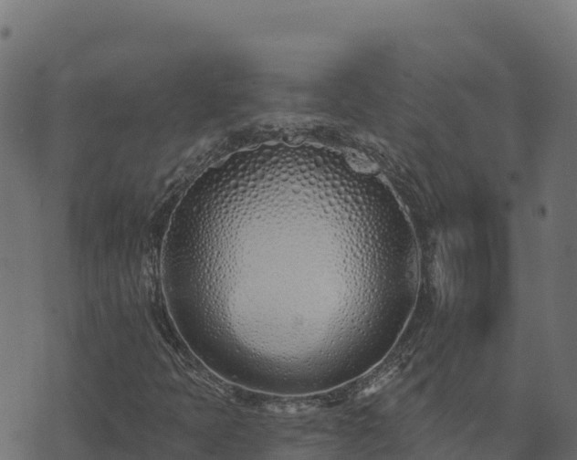 X0000073931397200608181102