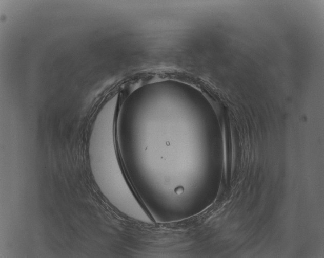 X0000073931398200608181102