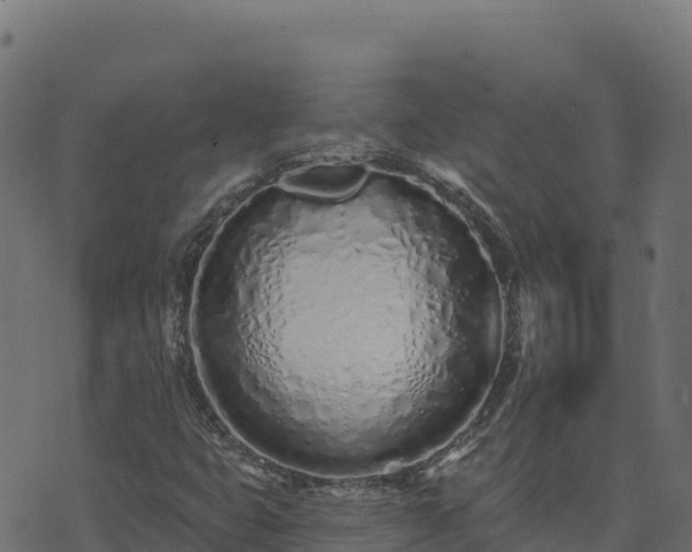 X0000073931399200608181102