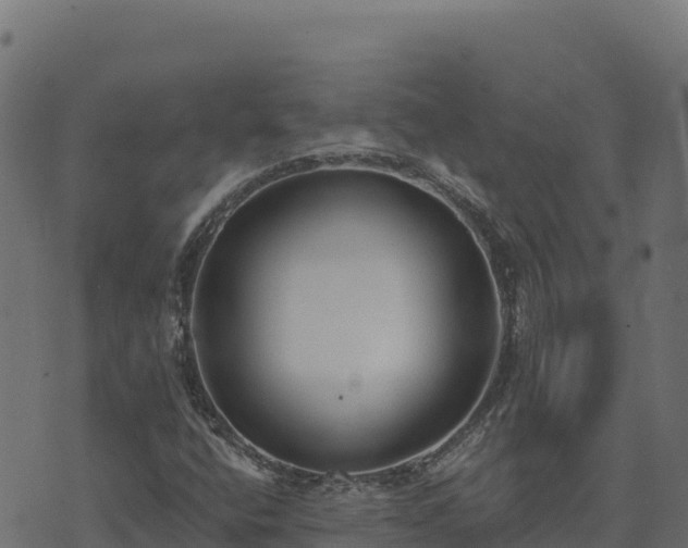 X0000073931400200608181102