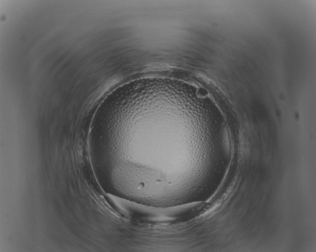 X0000073931401200608181102