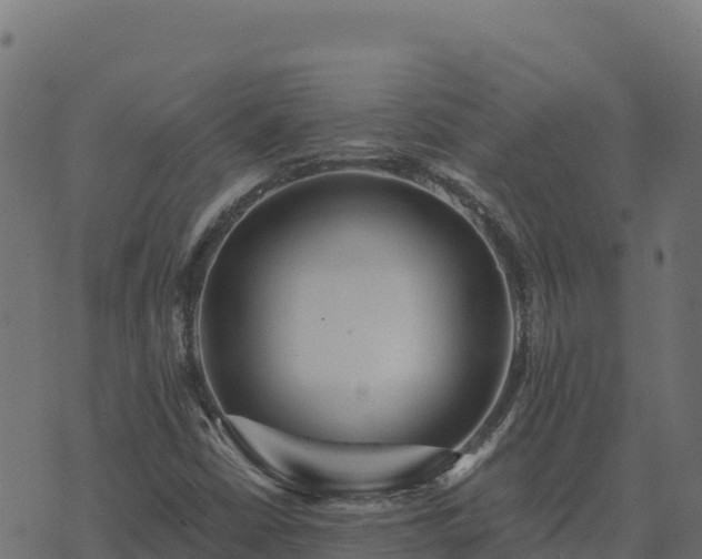 X0000073931402200608181102