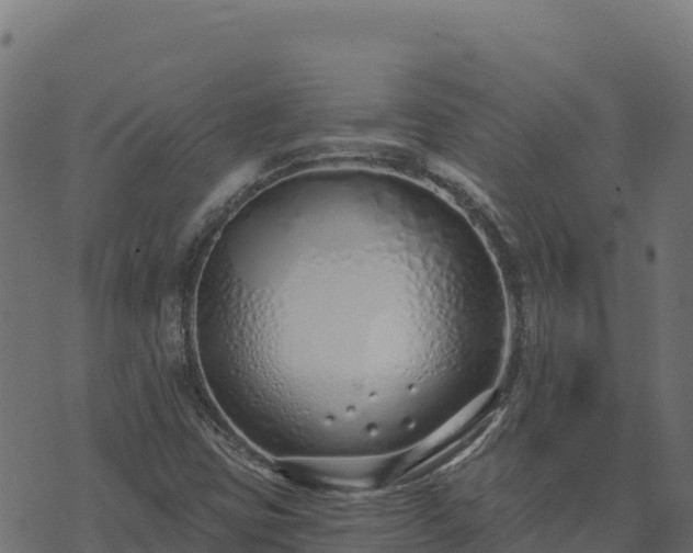 X0000073931403200608181102