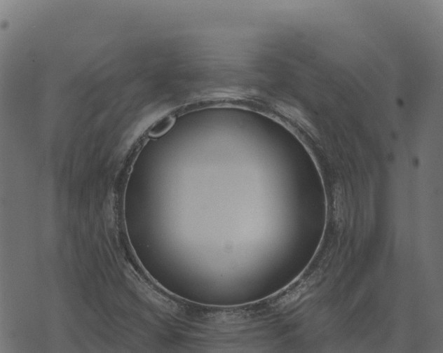 X0000073931404200608181102