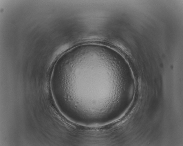 X0000073931405200608181102