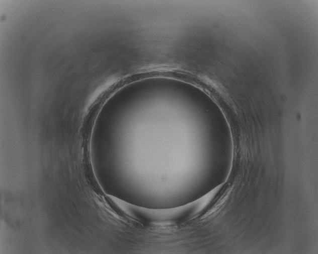 X0000073931406200608181102