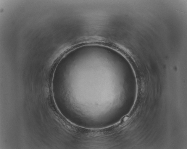 X0000073931407200608181102