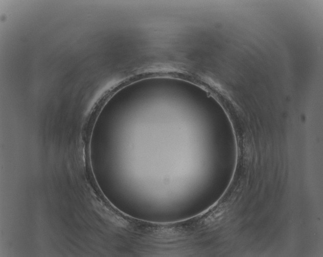 X0000073931408200608181102