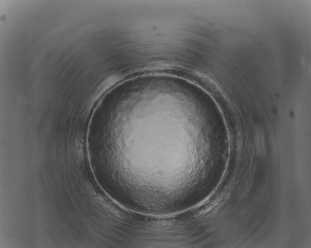 X0000073931409200608181103