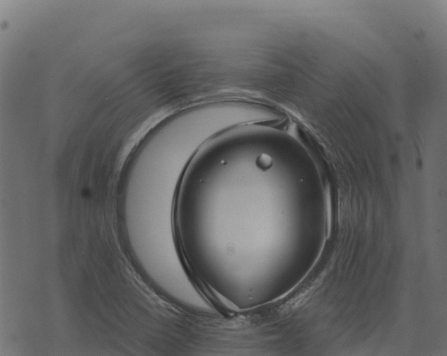 X0000073931410200608181103