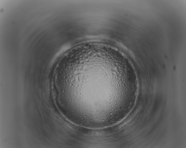 X0000073931411200608181103