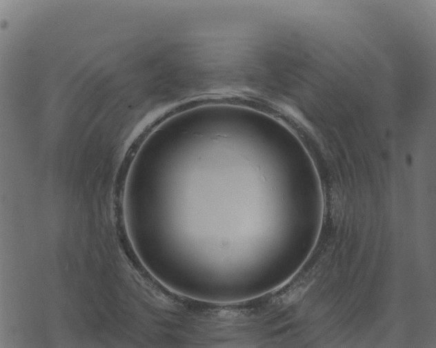 X0000073931412200608181103