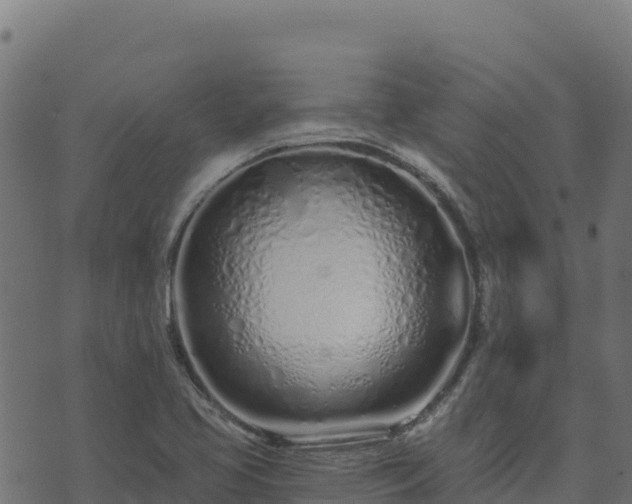 X0000073931413200608181103