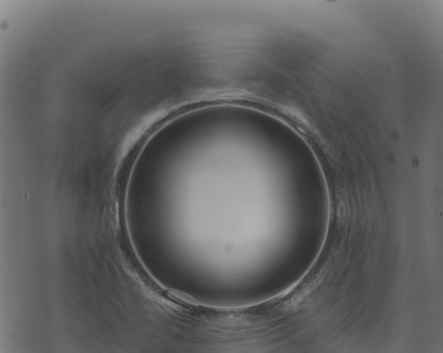 X0000073931414200608181103