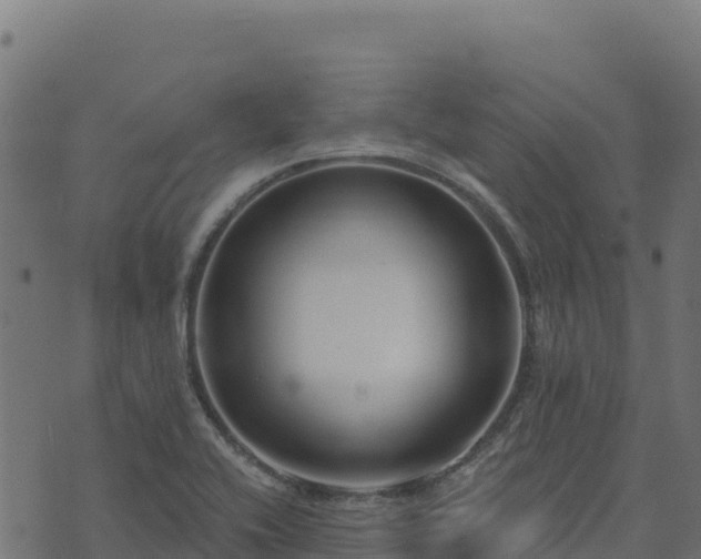 X0000073931416200608181103