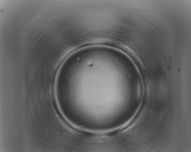 X0000073931417200608181103