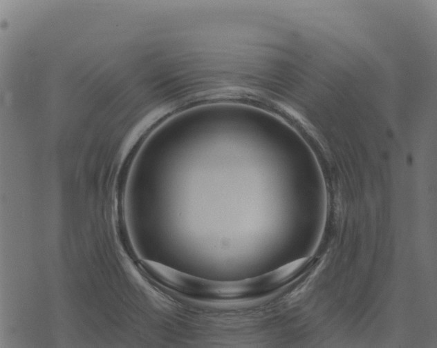 X0000073931418200608181103