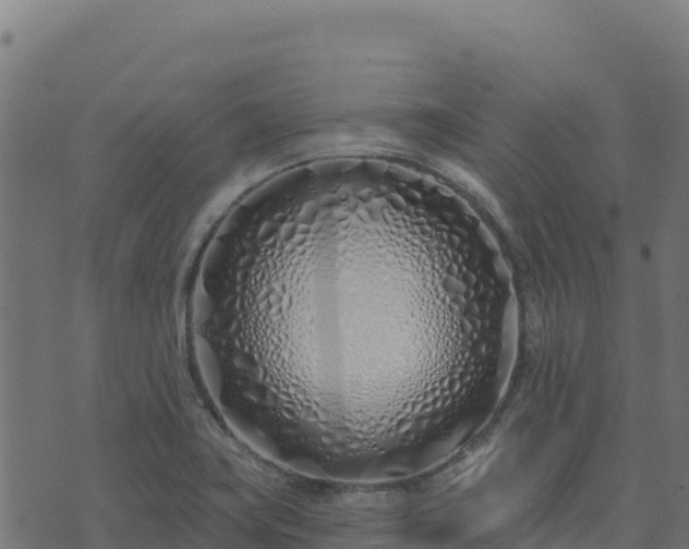 X0000073931419200608181103