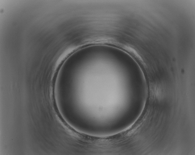 X0000073931424200608181103