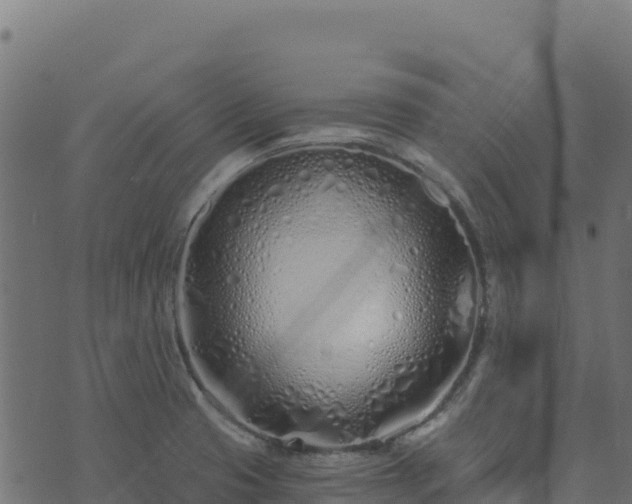 X0000073931425200608181103