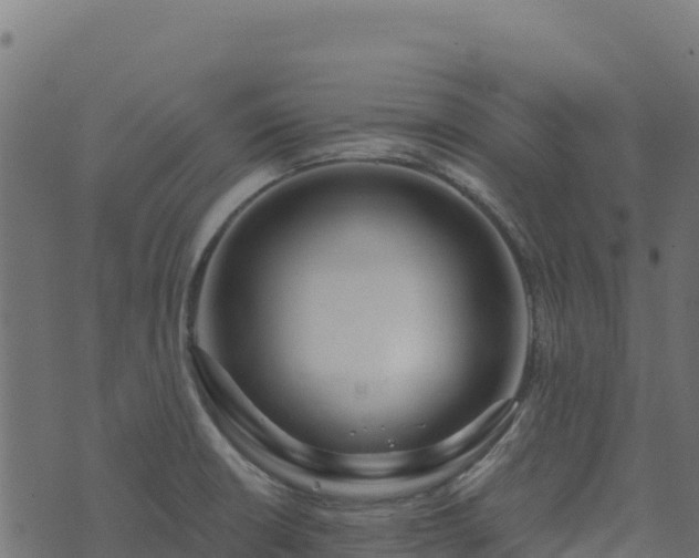 X0000073931426200608181103