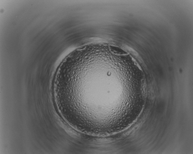 X0000073931427200608181103