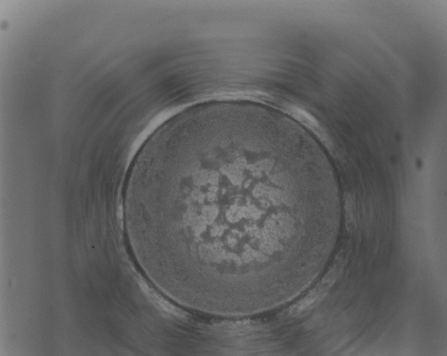 X0000073931428200608181103