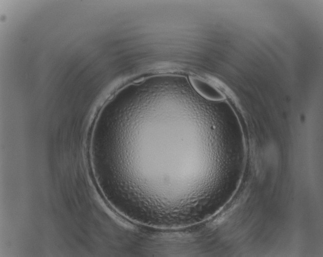 X0000073931429200608181103