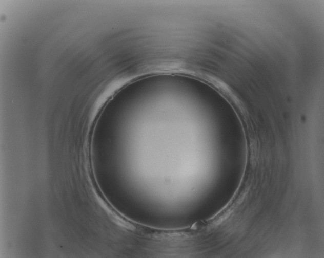 X0000073931432200608181103