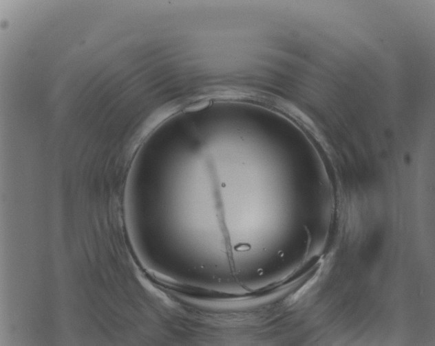 X0000073931433200608181103