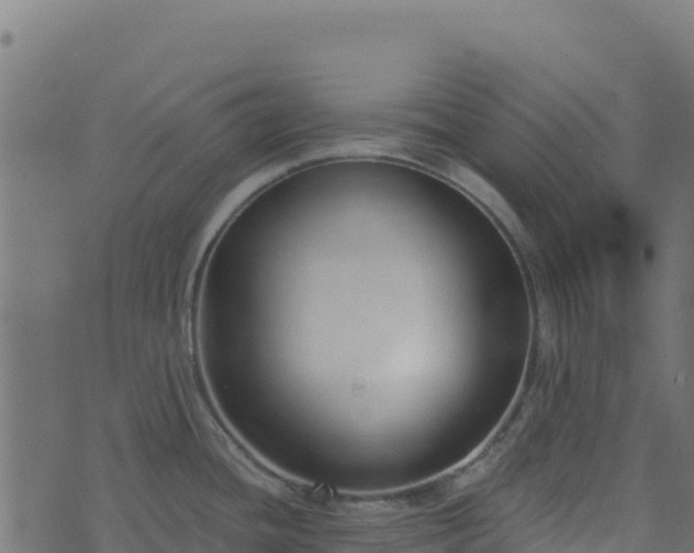 X0000073931436200608181103