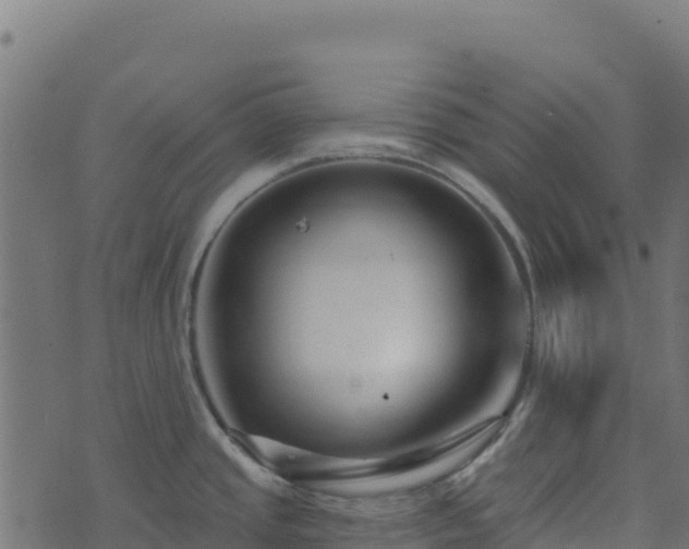 X0000073931437200608181103