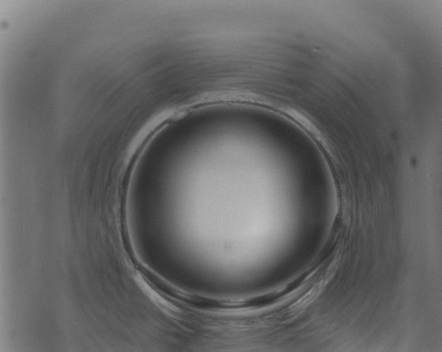 X0000073931438200608181103