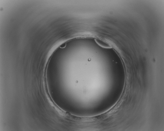 X0000073931440200608181103