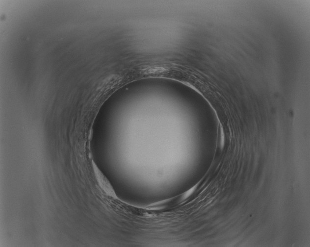 X0000073931441200608181102