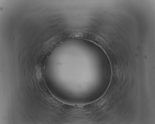 X0000073931442200608181102