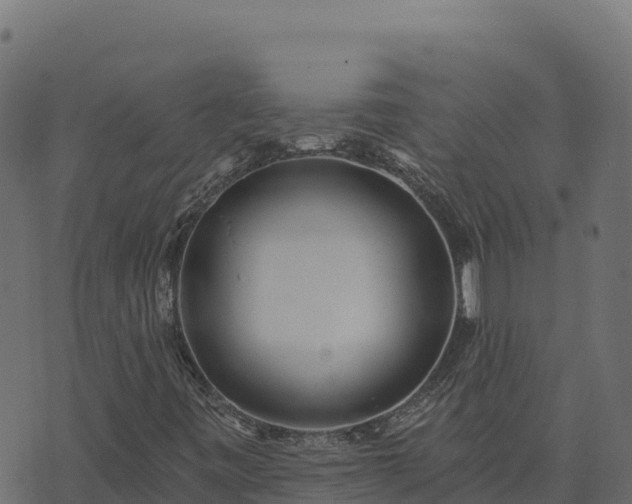 X0000073931443200608181102