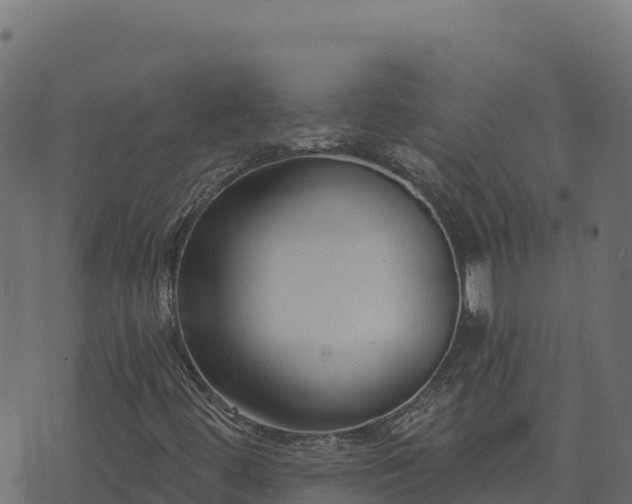 X0000073931444200608181102