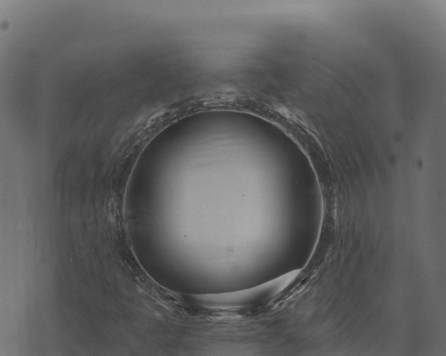 X0000073931445200608181102