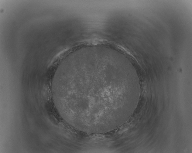 X0000073931446200608181102