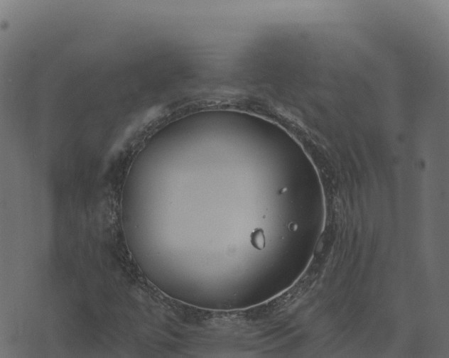 X0000073931447200608181102