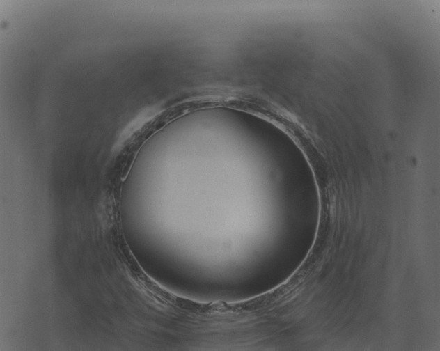 X0000073931448200608181102